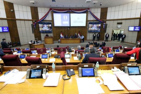 Plenario 03 850.jpg