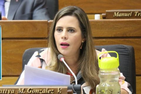 “Itaipú: Dossier sobre propuestas de negociación” es declarado de interés nacional