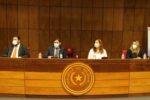 Realidad de la mujer paraguaya fue debatida durante una conferencia en Diputados