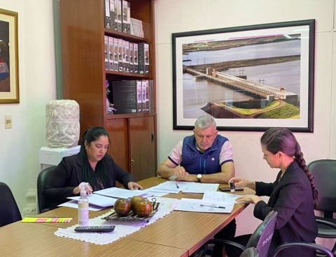 Interpelación: Afinan cuestionario a ser enviado al director de Itaipú y al presidente de la Ande