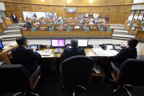 Diputados concede media sanción a una ampliación presupuestaria para Senadis
