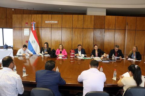 Concejales e Intendente de Puerto Casado exponen argumentos ante comisión especial de Diputados