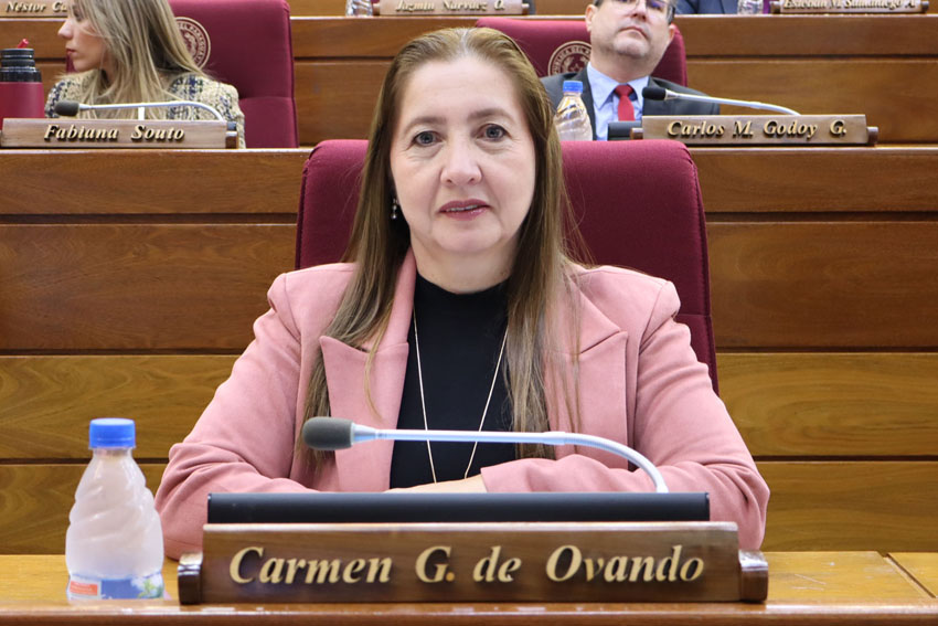 Presidente de Diputados ratifica compromiso con la educación durante jornada gubernamental en Cordillera