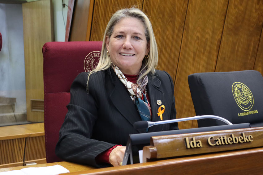 Presidente de Diputados ratifica compromiso con la educación durante jornada gubernamental en Cordillera