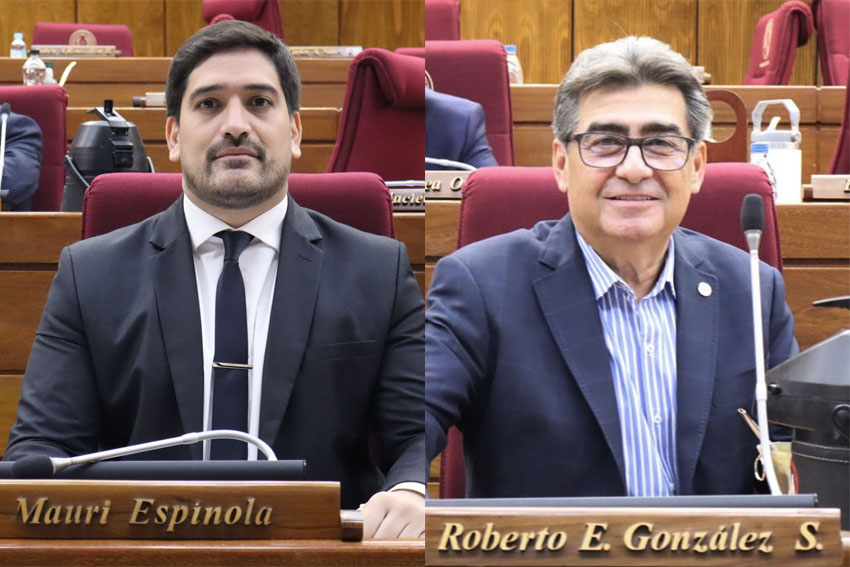 Presidente de Diputados ratifica compromiso con la educación durante jornada gubernamental en Cordillera