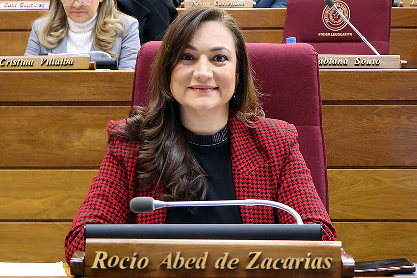 Presidente de Diputados ratifica compromiso con la educación durante jornada gubernamental en Cordillera