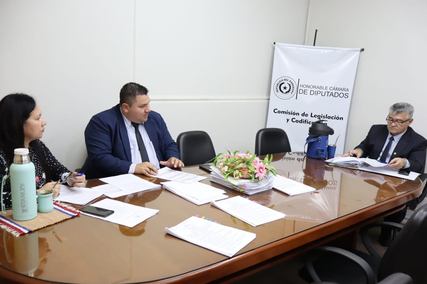 Presidente de Diputados ratifica compromiso con la educación durante jornada gubernamental en Cordillera