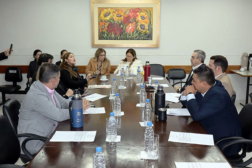 Presidente de Diputados ratifica compromiso con la educación durante jornada gubernamental en Cordillera
