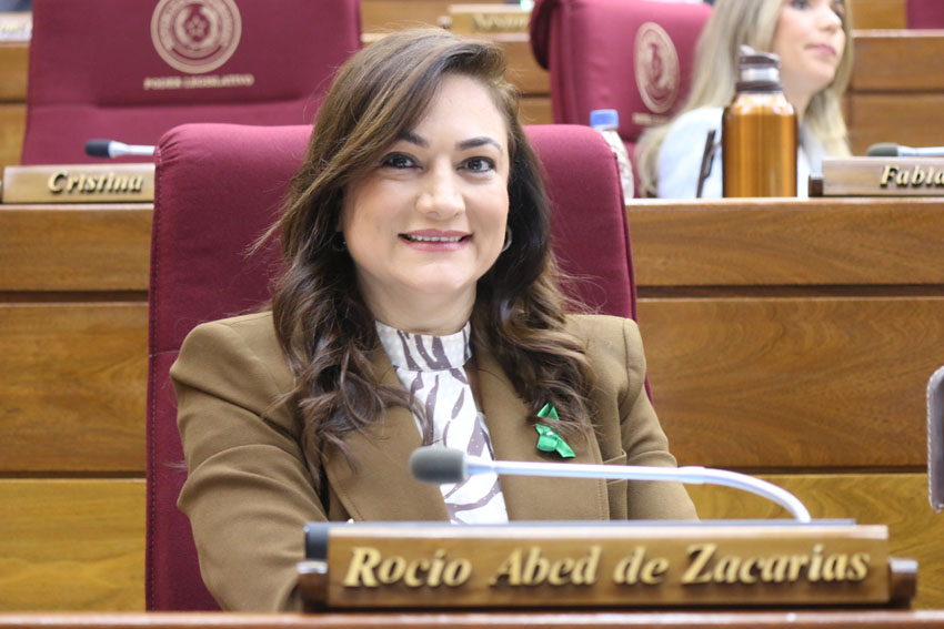 Presidente de Diputados ratifica compromiso con la educación durante jornada gubernamental en Cordillera