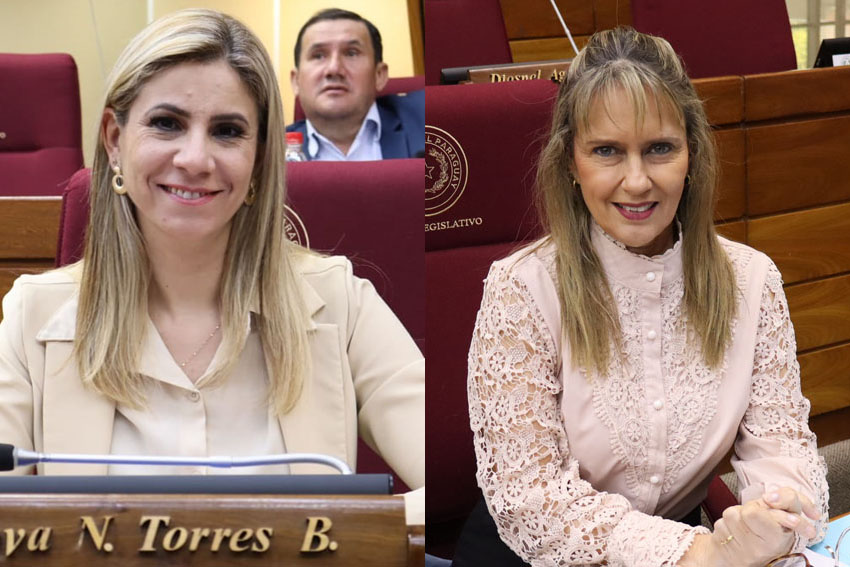 Presidente de Diputados ratifica compromiso con la educación durante jornada gubernamental en Cordillera