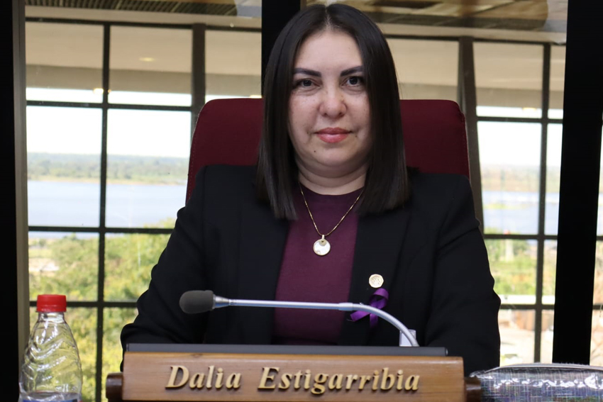 Presidente de Diputados ratifica compromiso con la educación durante jornada gubernamental en Cordillera