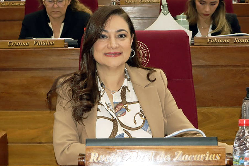 Presidente de Diputados ratifica compromiso con la educación durante jornada gubernamental en Cordillera