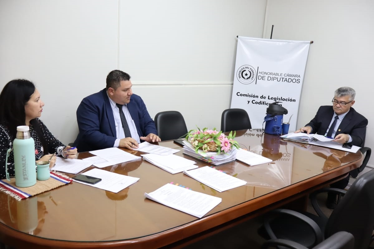 Presidente de Diputados ratifica compromiso con la educación durante jornada gubernamental en Cordillera