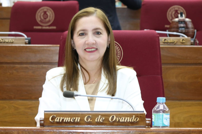 Presidente de Diputados ratifica compromiso con la educación durante jornada gubernamental en Cordillera