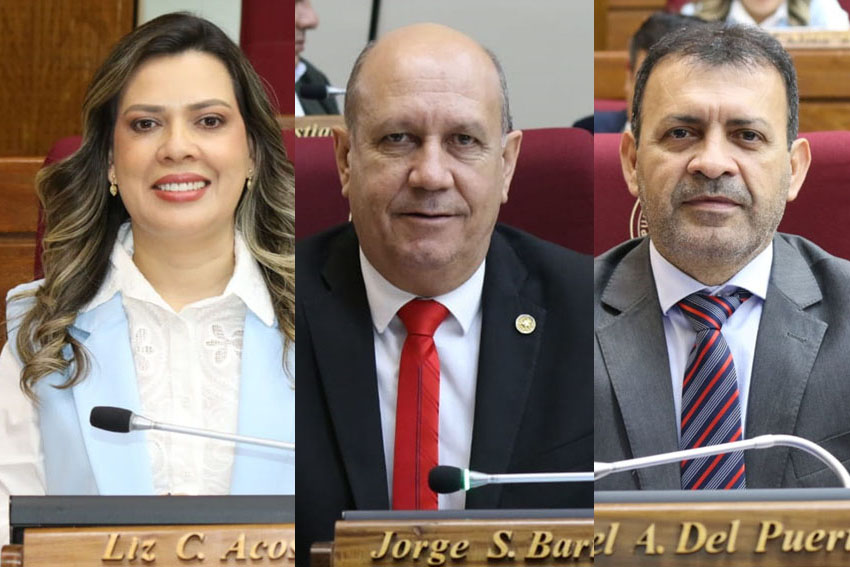 Presidente de Diputados ratifica compromiso con la educación durante jornada gubernamental en Cordillera