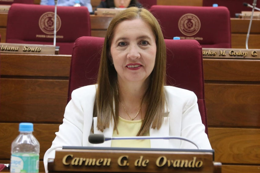 Presidente de Diputados ratifica compromiso con la educación durante jornada gubernamental en Cordillera