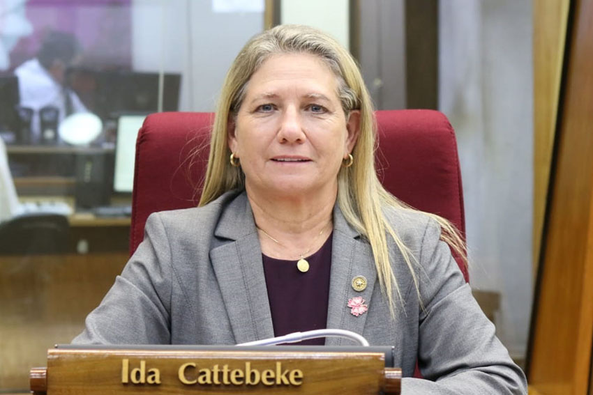 Presidente de Diputados ratifica compromiso con la educación durante jornada gubernamental en Cordillera