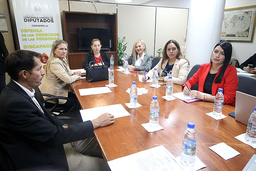 Presidente de Diputados ratifica compromiso con la educación durante jornada gubernamental en Cordillera