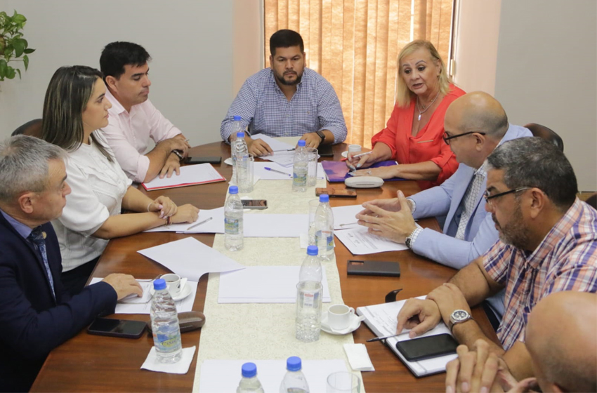 Presidente de Diputados ratifica compromiso con la educación durante jornada gubernamental en Cordillera