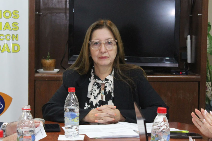 Presidente de Diputados ratifica compromiso con la educación durante jornada gubernamental en Cordillera