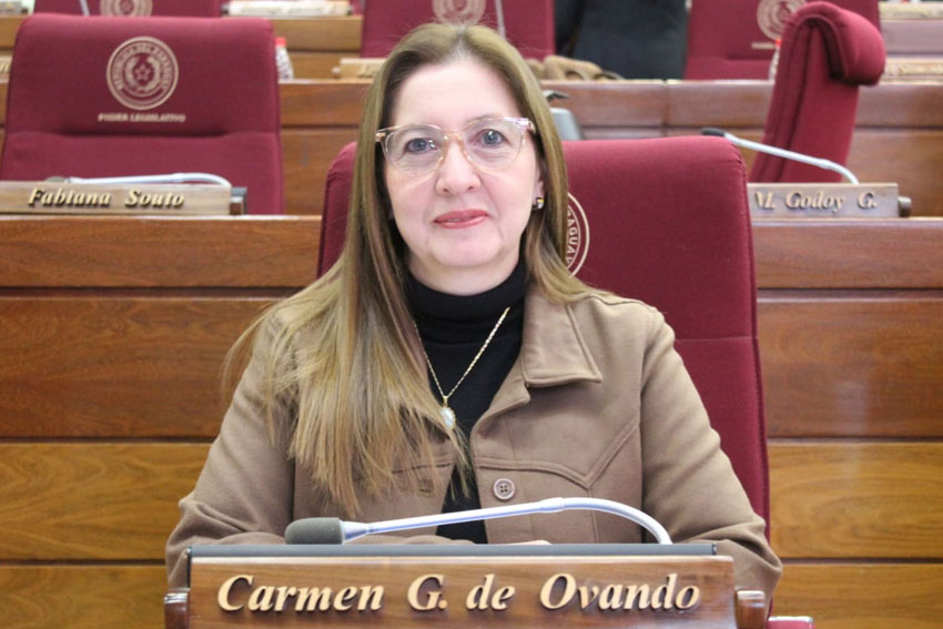 Presidente de Diputados ratifica compromiso con la educación durante jornada gubernamental en Cordillera