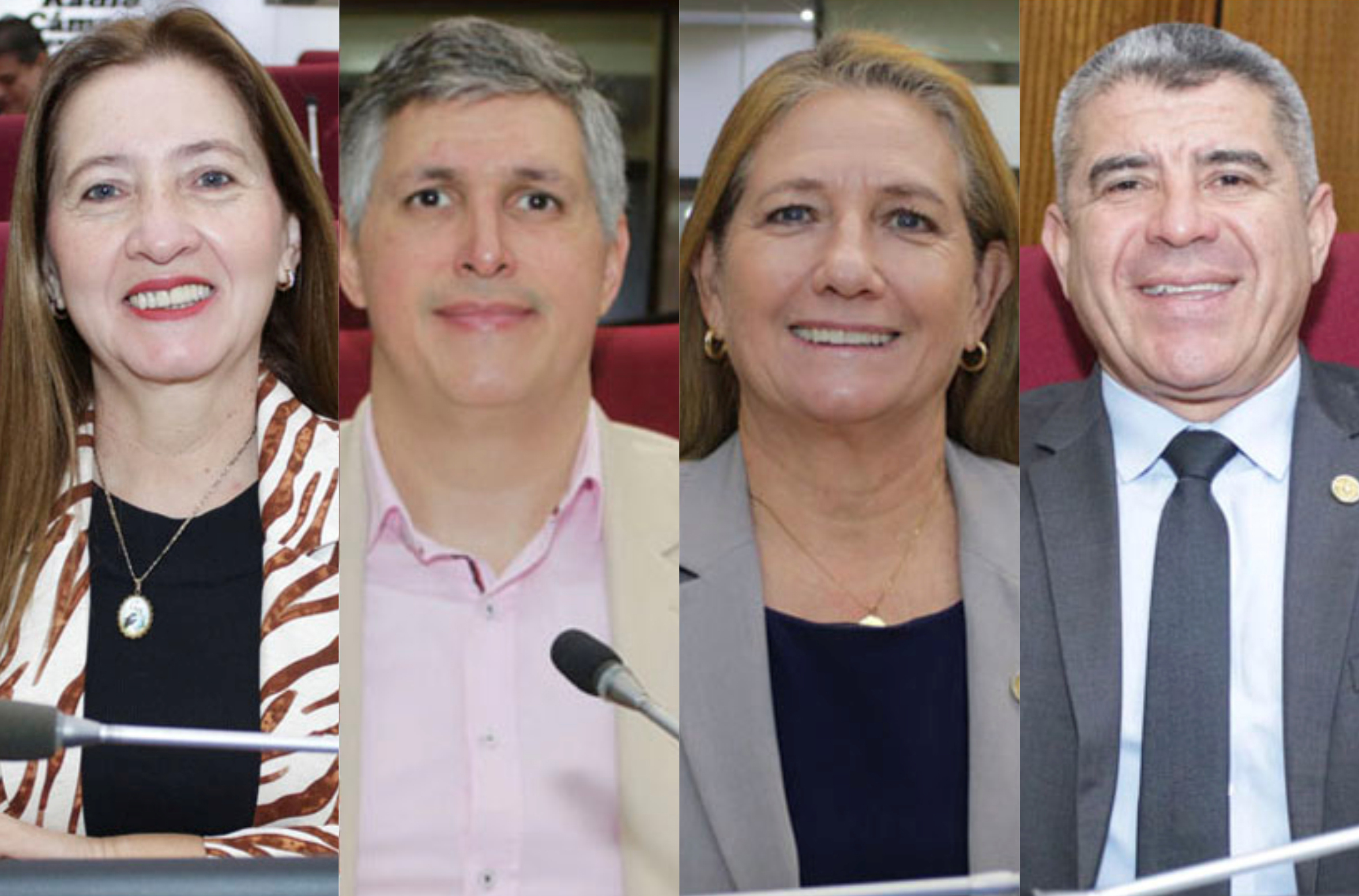 Presidente de Diputados ratifica compromiso con la educación durante jornada gubernamental en Cordillera