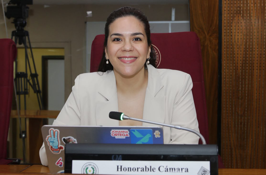 Presidente de Diputados ratifica compromiso con la educación durante jornada gubernamental en Cordillera