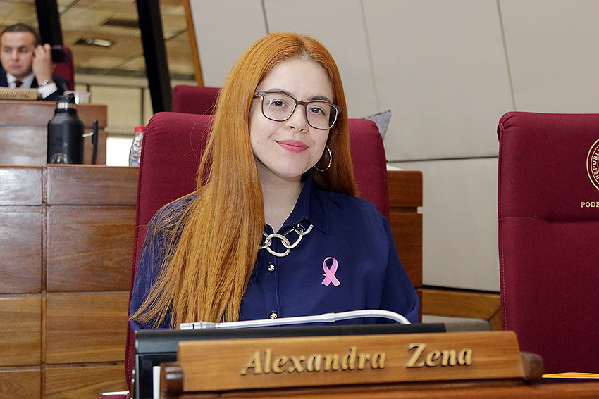 Presidente de Diputados ratifica compromiso con la educación durante jornada gubernamental en Cordillera