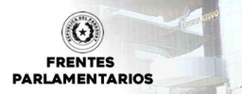 Frentes parlamentarios