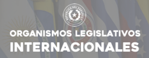 Organismos legislativos internacionales